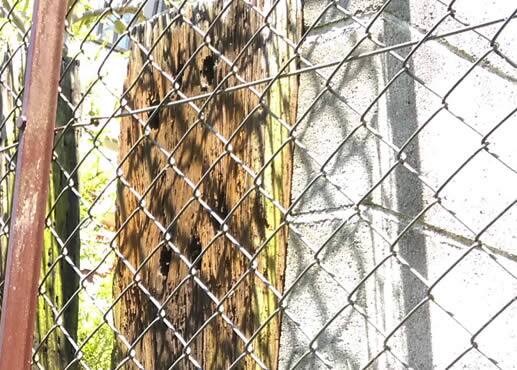 クマバチの巣注意点枕木